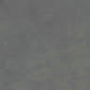 Meet your Posher, Monie